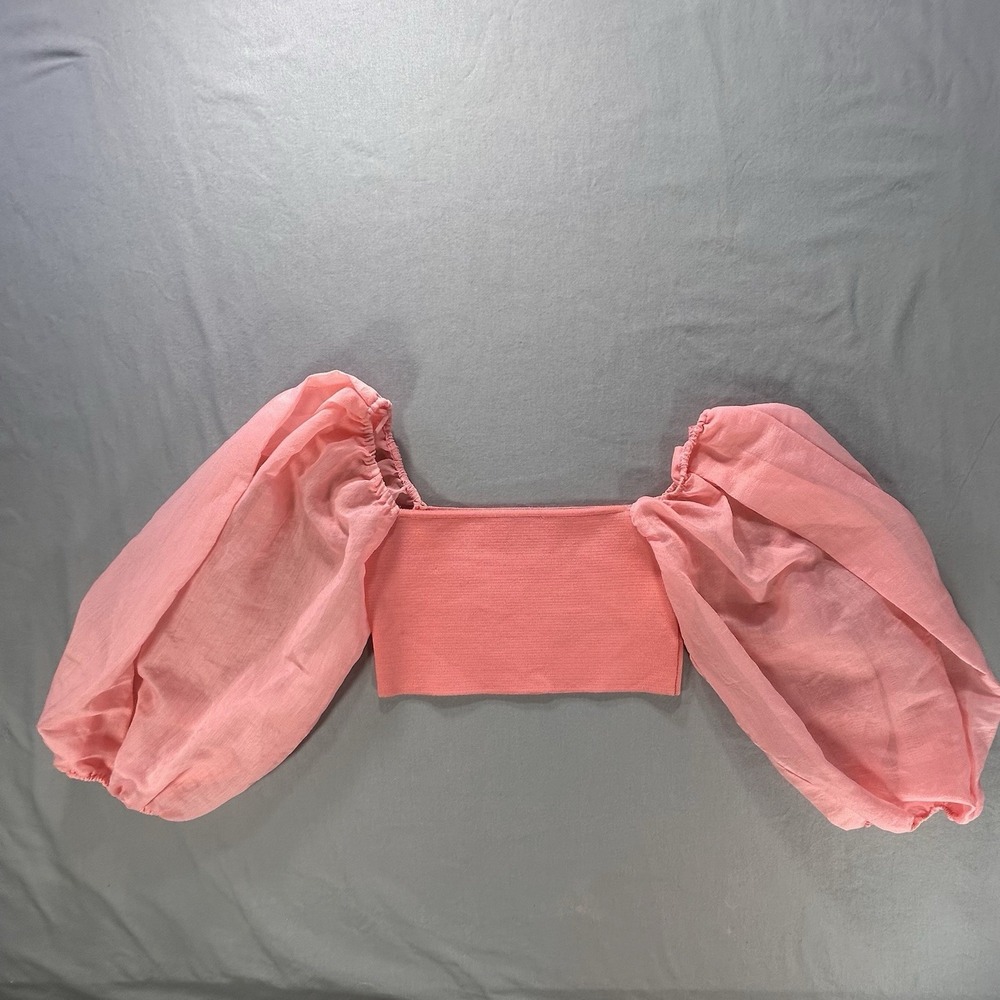 Zara Sheer Sleeve Crop Top Size Small ballet fairy whimsical dancecore coquette